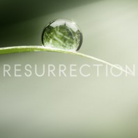 Resurrection